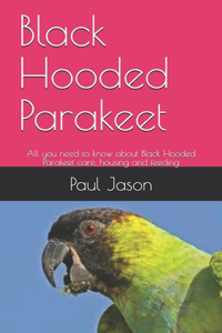 Black Hooded Parakeet