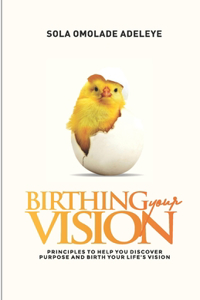 Birthing Your Vision