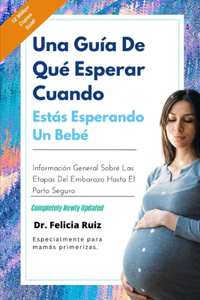 Una Guía de Qué Esperar Cuando Estás Esperando Un Bebé