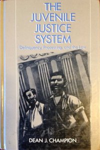 The Juvenile Justice System