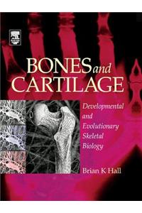 Bones and Cartilage
