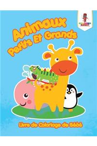 Animaux Petits Et Grands
