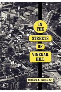 In The Streets Of Vinegar Hill