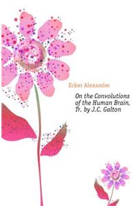 On the Convolutions of the Human Brain