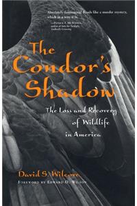 The Condor's Shadow