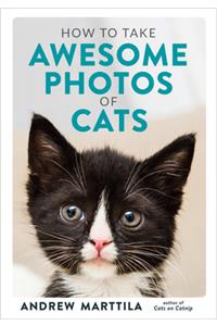 How to Take Awesome Photos of Cats