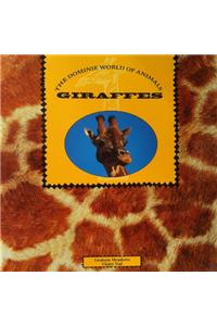 Giraffes