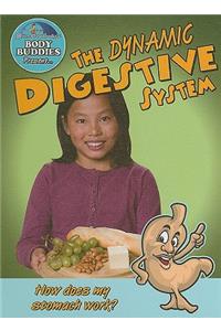 Dynamic Digestive System: How Does My Stomach Work?