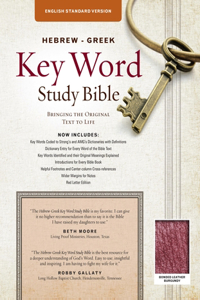 Hebrew-Greek Key Word Study Bible