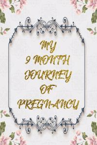 My 9 Month Journey Of Pregnancy