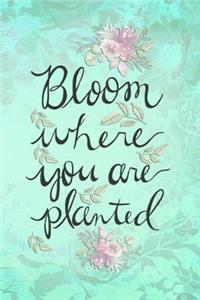 Bloom Where You Are Planted