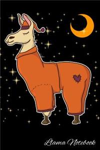 Llama Notebook