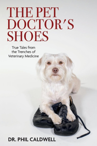 Pet Doctor's Shoes