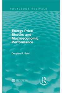 Energy Price Shocks and Macroeconomic Performance