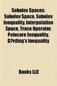 Sobolev Spaces