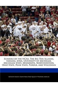 Schools of the Ncaa, the Big Ten
