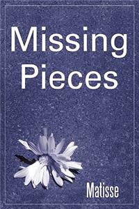 Missing Pieces