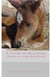 A Guide to Breeding Horses and Foaling