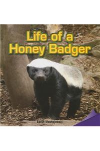 Life of a Honey Badger