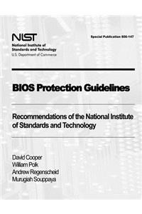 BIOS Protection Guidelines