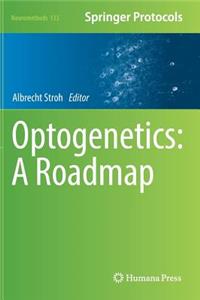 Optogenetics: A Roadmap