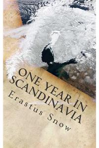 One Year in Scandinavia
