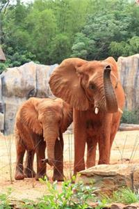 African Elephant Mother and Baby Journal