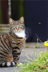 A Sweet Tabby Cat Sitting in the Garden Journal