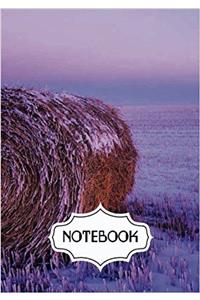 Notebook Journal Stubble
