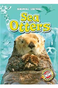 Sea Otters