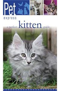 A Perfect Kitten Guide