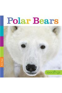 Seedlings Polar Bears