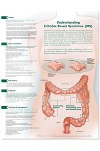 Understanding Irritable Bowel Syndrome Anatomical Chart
