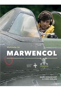 Welcome to Marwencol