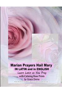 Marian Prayers Hail Mary IN LATIN and in ENGLISH Learn Latin as You Pray with Calming Rose Prints by Grace Divine