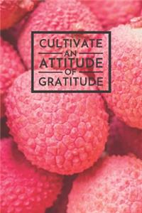 Cultivate an Attitude of Gratitude
