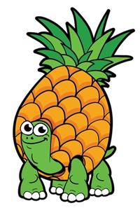 Pineapple Turtle