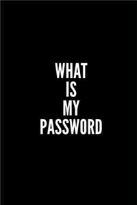 What Is My Password