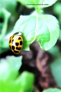 Coccinelle Carnet de notes