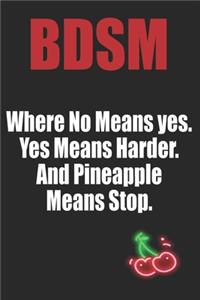 BDSM Where No Mean yes Yes Means Harder and Pineapple Means Stop