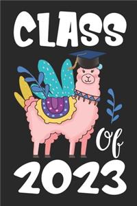 Class of 2023
