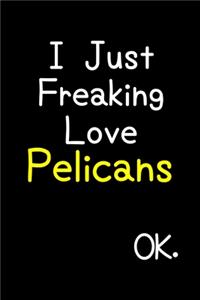 I Just Freaking Love Pelicans Ok.