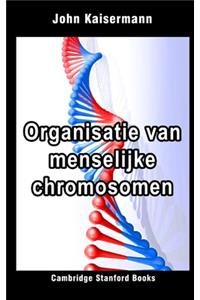 Organisatie van menselijke chromosomen