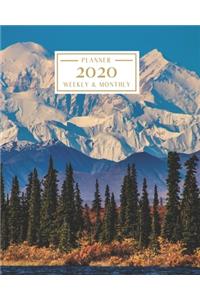 2020