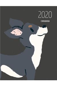 2020 Chihuahua