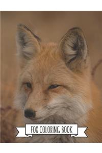 Fox Coloring Book