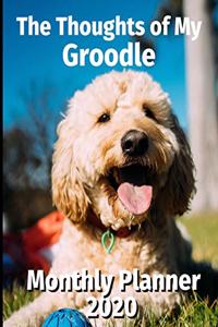 The Thoughts of My Groodle