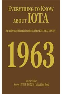 Everything to Know about Iota