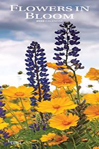 FLOWERS IN BLOOM 2020 SLIM CALENDAR