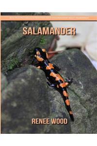 Salamander